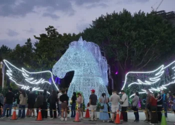 2026中台灣燈會「驚蟄界」人氣爆棚！　建設局打造沉浸式光影體驗邀您走進奇幻春天森林