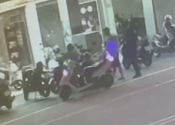 失聯移工謊報假身分　遭警識破欲逃仍遭逮