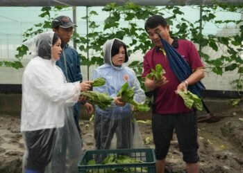 強降雨重創葉菜產區　張麗善縣長勘災要求加速查報協助農民復耕