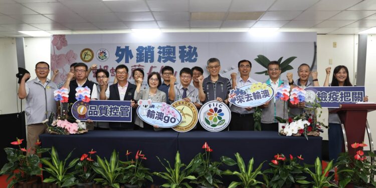 農試所建構輸澳蝴蝶蘭全鏈式管理措施 成功突破檢疫挑戰 1 058A0445rev scaled 1