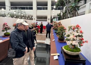 皐月花潮翻轉城市氣質　皐月杜鵑花季展4/4-4/12豐原陽明大樓登場