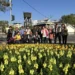 台中遍地開花迎新春! 21條道路、29處公園花海綻放 大里阿罩霧、塗城公園春意最搶眼 11 台中遍地開花迎新春! 21條道路、29處公園花海綻放 大里阿罩霧、塗城公園春意最搶眼