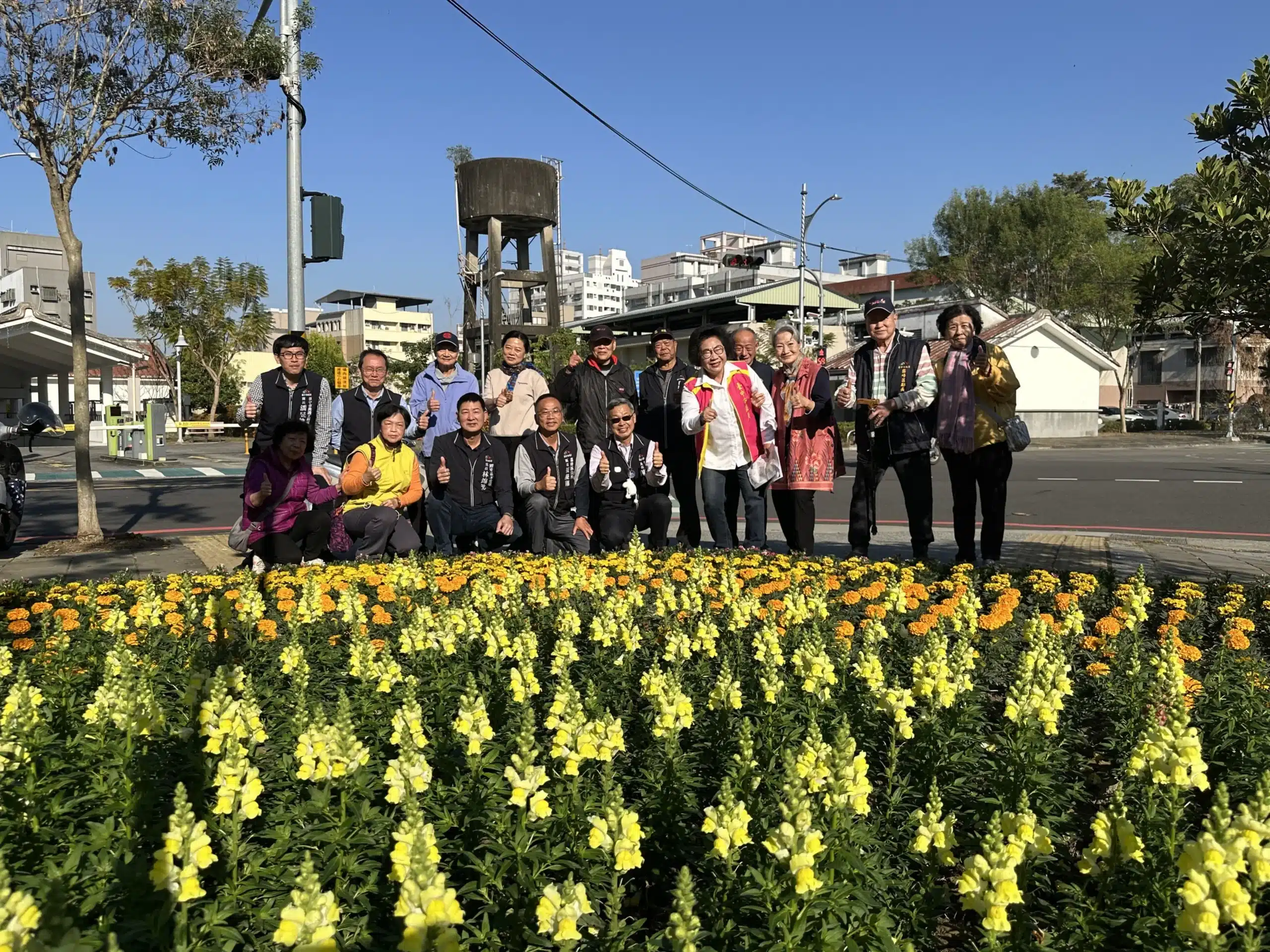 台中遍地開花迎新春! 21條道路、29處公園花海綻放 大里阿罩霧、塗城公園春意最搶眼 1 1 160