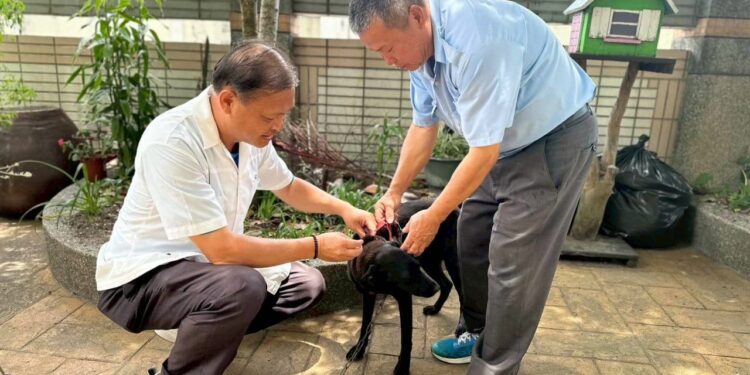 夏季野生動物活動頻繁 中市動保處籲請民眾提高警覺共同防範狂犬病 1 1 172