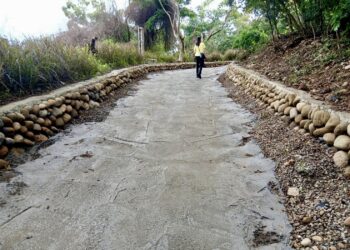大甲鐵砧山桂花泉步道優化工程持續推進 提升排水效能打造更安全舒適遊憩環境 6 大甲鐵砧山桂花泉步道優化工程持續推進 提升排水效能打造更安全舒適遊憩環境