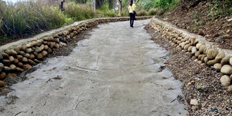 大甲鐵砧山桂花泉步道優化工程持續推進 提升排水效能打造更安全舒適遊憩環境 1 1 229