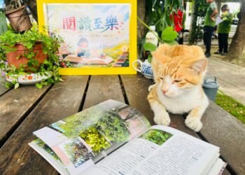 綠意與書香交織！　中市外埔區清潔隊打造「榕樹下閱讀角」 療癒同仁身心