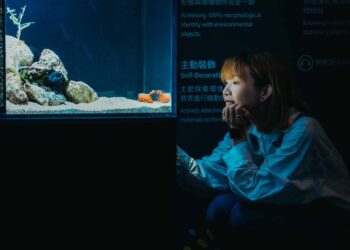 台中海洋館暑期特展《海洋幻術師》登場 揭開海洋生物偽裝生存術 5 台中海洋館暑期特展《海洋幻術師》登場 揭開海洋生物偽裝生存術