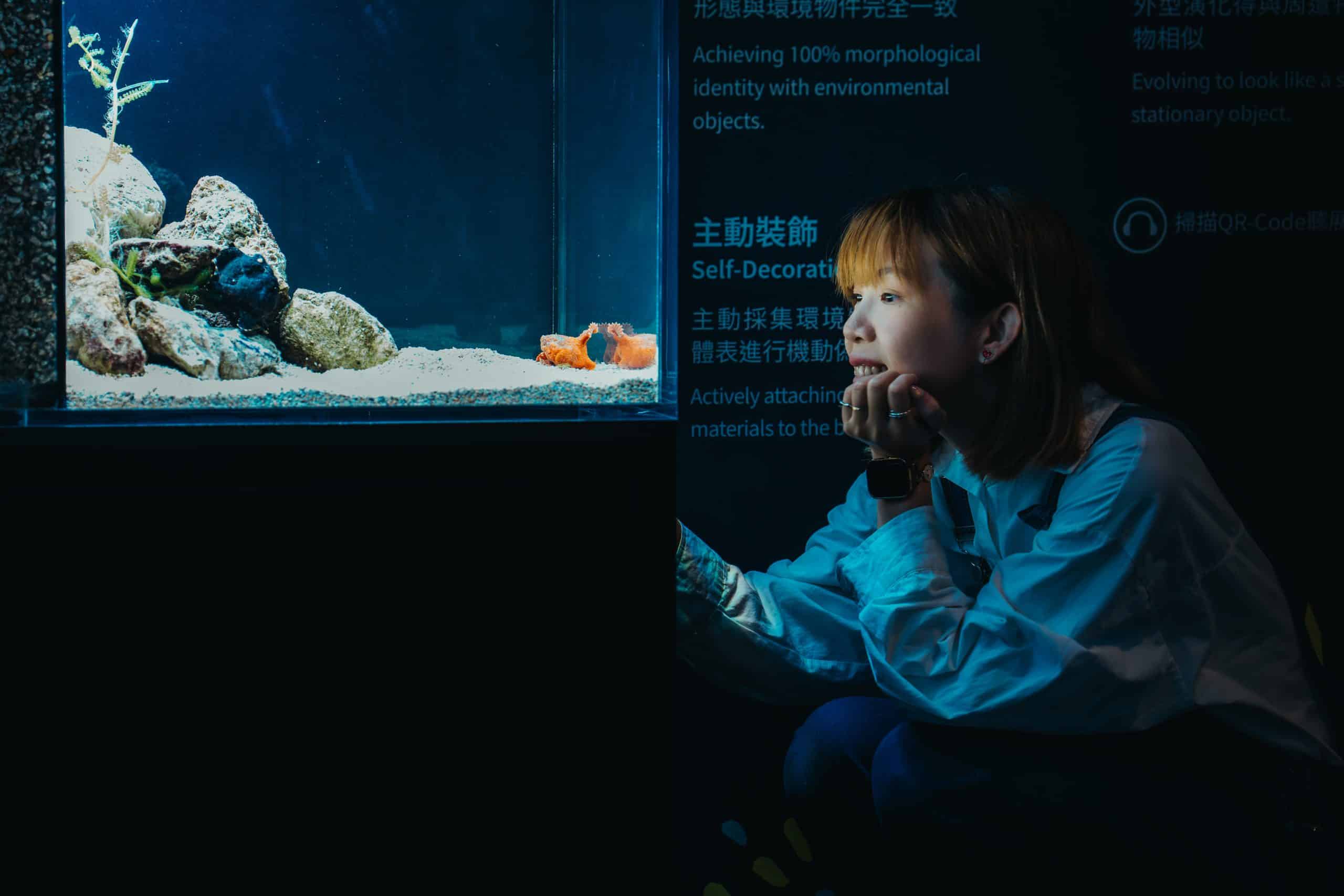 台中海洋館暑期特展《海洋幻術師》登場 揭開海洋生物偽裝生存術 1 1 242 scaled 1