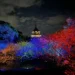 夜櫻賞燈遇見幾米 淡水天元宮「花見櫻花季」浪漫開跑 10 夜櫻賞燈遇見幾米 淡水天元宮「花見櫻花季」浪漫開跑