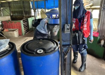 嘉義民雄爆今年首例日本腦炎　婦人發燒昏迷住院　周邊環境曝光