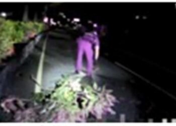 車道散落大型樹枝影響行車　警迅速排除路障防事故