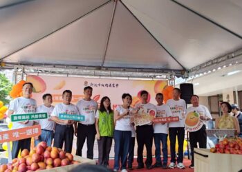 「今夏最芒，妃吃不可！」 陳亭妃、蘇巧慧產銷合作、強強聯手板橋農會展售台南芒果