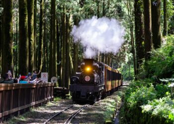 暑假限定開跑！阿里山蒸汽火車遊程錯過不再