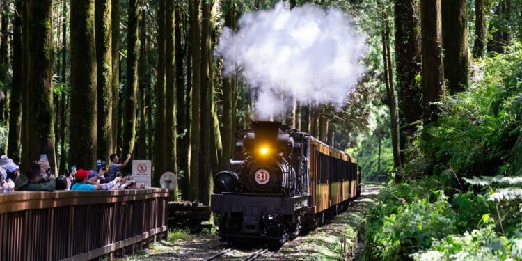 暑假限定開跑!阿里山蒸汽火車遊程錯過不再 1 28 1 scaled 36