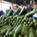 雲林蔬果肉品產銷穩定迎春節 張麗善縣長視察市場請民眾安心採購 11 雲林蔬果肉品產銷穩定迎春節 張麗善縣長視察市場請民眾安心採購