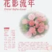 最美茶花現身陽明山花卉中心 鬱金香、風信子齊迎賓 13 最美茶花現身陽明山花卉中心 鬱金香、風信子齊迎賓