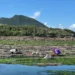 東北角春日限定海味登場　石花菜盛產邀民眾賞海景、品石花凍