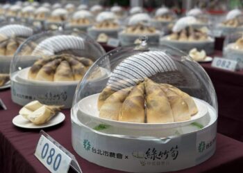 北市綠竹筍評鑑揭曉　職人之手淬煉今夏最強綠寶石