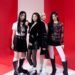 韓國女團 Baby DONT Cry 拍攝MV吃蟲子吊鋼絲卻覺得異常有趣