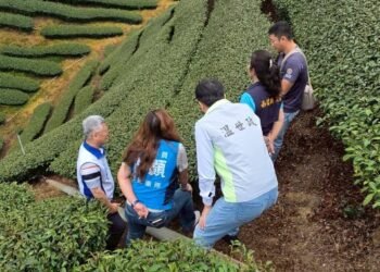 旱象重創南投茶園　温世政現勘籲中央從速、從簡助農損