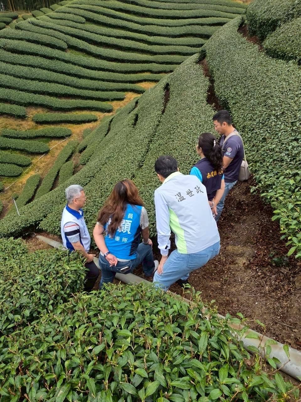 旱象重創南投茶園 温世政現勘籲中央從速、從簡助農損 1 IMG 0707