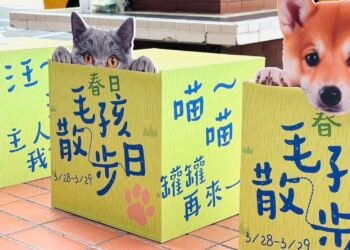 高雄大立推雙主題活動　串聯寵物友善與城市運動風潮