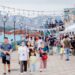 潮嚮．山海基隆青創市集6/6巡迴八斗子　攜手國際帆船賽打造最Chill海洋盛會