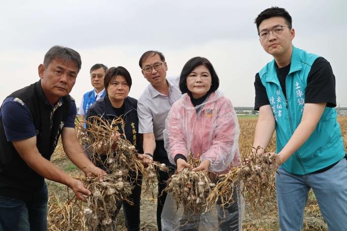 乾旱及暖冬致蒜球偏小產量銳減 縣長張麗善呼籲中央免勘查救助 1 a6711aa8 d32b 4d02 83ac
