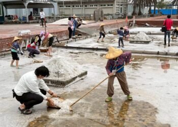 七股鹽山端午首推「下鹽田親收午時鹽」