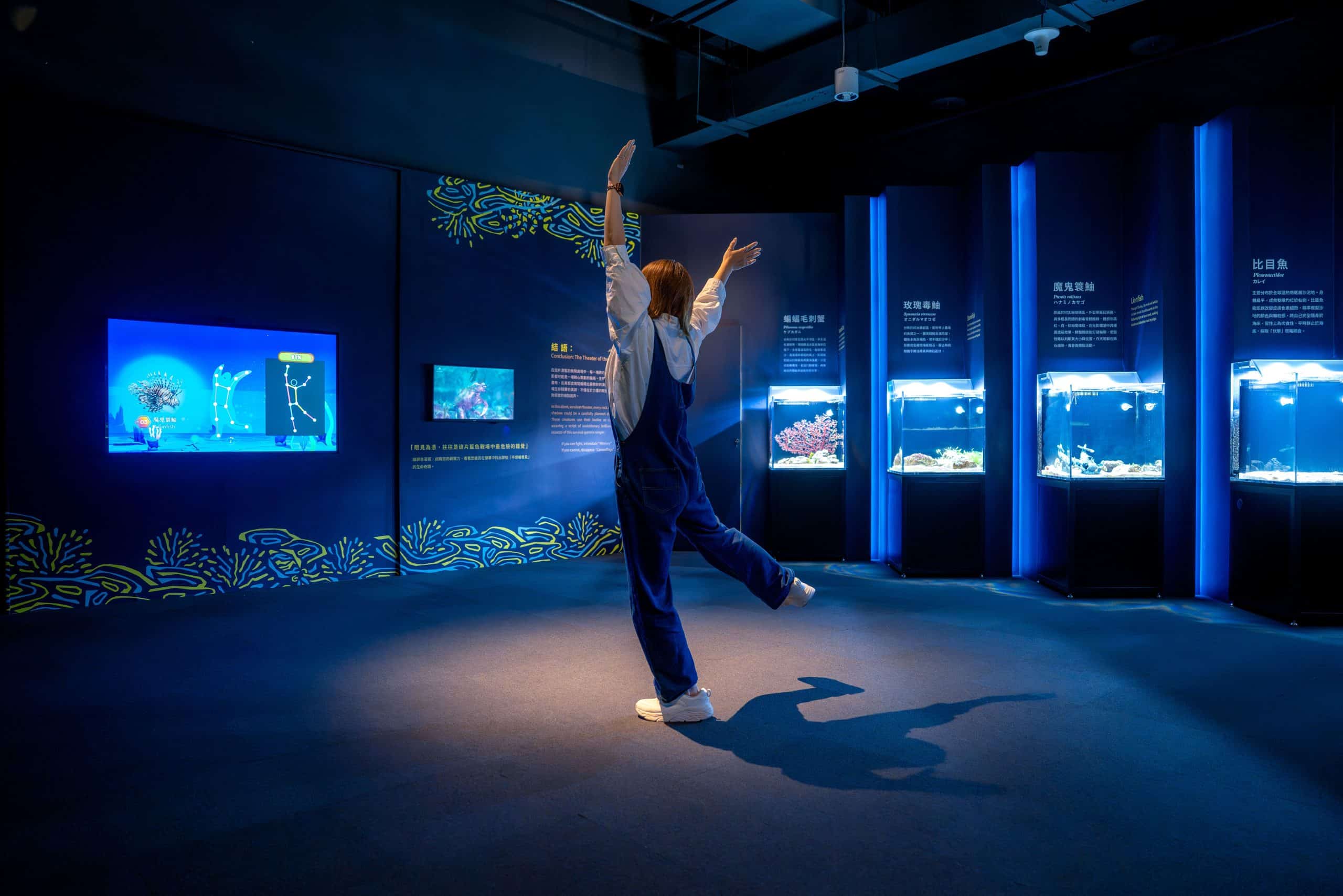 台中海洋館暑期特展《海洋幻術師》登場 揭開海洋生物偽裝生存術 6 觀眾跟著引導以身體模仿擬態章魚的三種形態 收縮如海蛇 張開如蓑鮋 壓扁如比目魚 scaled 1