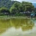 南投縣政府攜手民間守護埔里鯉魚潭水環境 邀您感受山水之美 13 南投縣政府攜手民間守護埔里鯉魚潭水環境 邀您感受山水之美