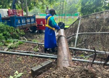 巴威颱風遠離　中市府全面投入災後復原 加速恢復市民生活