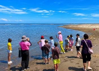 推動永續觀光！　大安濱海樂園規劃多元環教 旅遊融入海洋生態體驗