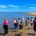 推動永續觀光! 大安濱海樂園規劃多元環教 旅遊融入海洋生態體驗 15 推動永續觀光! 大安濱海樂園規劃多元環教 旅遊融入海洋生態體驗