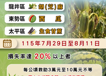 中市龍井區胡（芝）麻、東勢區西瓜及太平區生食甘蔗災損　即日起至8/11可申請現金救助
