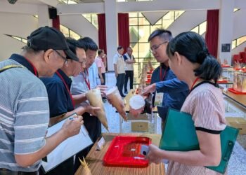 115年度台中市北屯區優質麻竹筍評鑑成績揭曉 農友林文錦榮獲冠軍 展現台中優質麻竹筍實力 9 115年度台中市北屯區優質麻竹筍評鑑成績揭曉 農友林文錦榮獲冠軍 展現台中優質麻竹筍實力