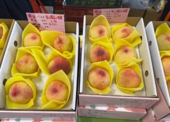 梨山甜蜜直送! 台中水蜜桃、精品茶、限定蜂蜜快閃台北希望廣場 8 梨山甜蜜直送! 台中水蜜桃、精品茶、限定蜂蜜快閃台北希望廣場