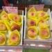 梨山甜蜜直送！　台中水蜜桃、精品茶、限定蜂蜜快閃台北希望廣場