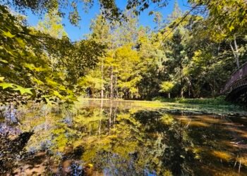 「原」來你在奧萬大 7月31日至8月2日 全民10元入園 11 「原」來你在奧萬大 7月31日至8月2日 全民10元入園