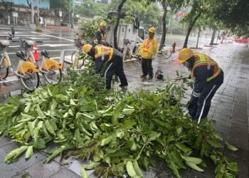 北市584件災情陸續排除　蔣萬安要求確保週一上班課安全