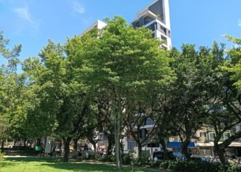 從歐式花園到生態綠洲　榮星花園將升級再出發