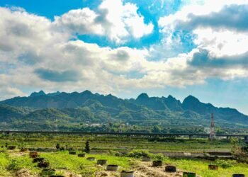 九九峰巒層層俊　山羊、葉蘭吸引入