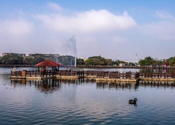 天鵝湖無天鵝 追憶昔日情 9 天鵝湖無天鵝 追憶昔日情
