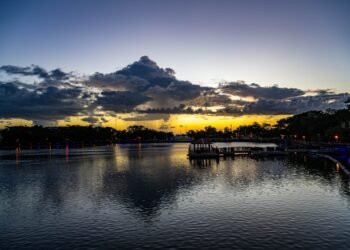 豔陽天 天鵝湖邊眾生忙 6 豔陽天 天鵝湖邊眾生忙