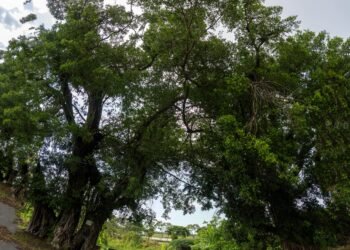 奇人豎立石敢當　後廍居民享平安