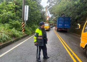路樹倒塌阻交通　員警接力疏導守護用路人安全