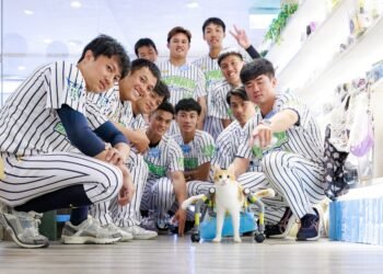 喵喵肉球日送愛　北市興富發棒球隊清貓舍助浪貓找家