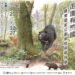 國家公園署攜手佛光山佛陀紀念館 慈悲護生在山林 臺灣黑熊特展傳遞「與熊共榮共存」 11 國家公園署攜手佛光山佛陀紀念館 慈悲護生在山林 臺灣黑熊特展傳遞「與熊共榮共存」