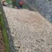 後勁溪近日發生死魚漂浮　環保局持續監測水質　擴大專案稽查
